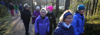 Enkel fottur i Kanadaskogen 