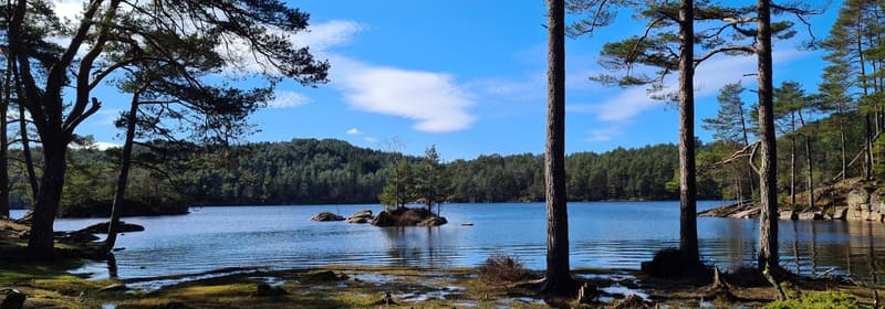 Eidsvågfjellet med DNT nærtur Bergen