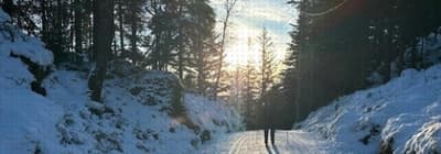 Tur til Åsebu med språktreningsgruppen "Til Topps"