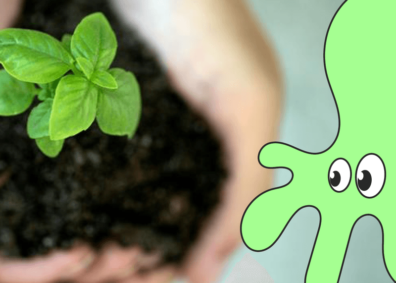 Klimafestivalen junior på Åsane bibliotek. For skole: Bærekraftig hverdag!