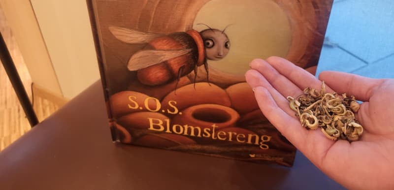 Småspirer - høytlesning og frøbomber