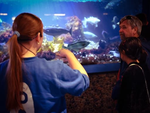 Fiskesnakk i Rotunden