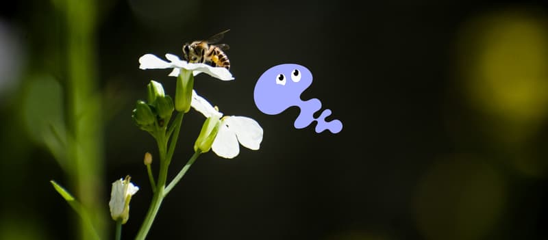Fortellerstund og insekthotellverksted