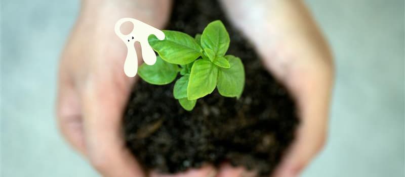 Matsentralen: En bærekraftig hverdag (kl.10/12)