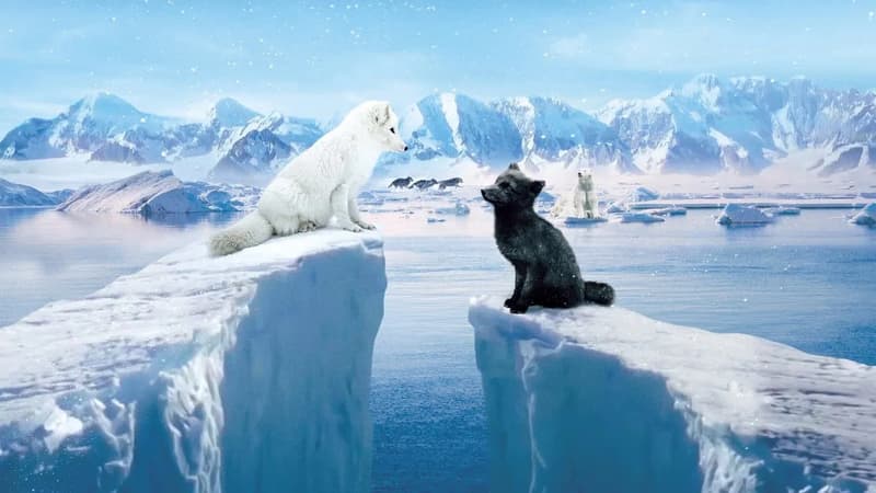 Feriekino: Ask og Ylva