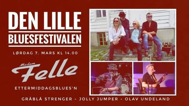 DEN LILLE BLUESFESTIVALEN - 2026 - ETTERMIDDAGSBLUSEN LØRDAG